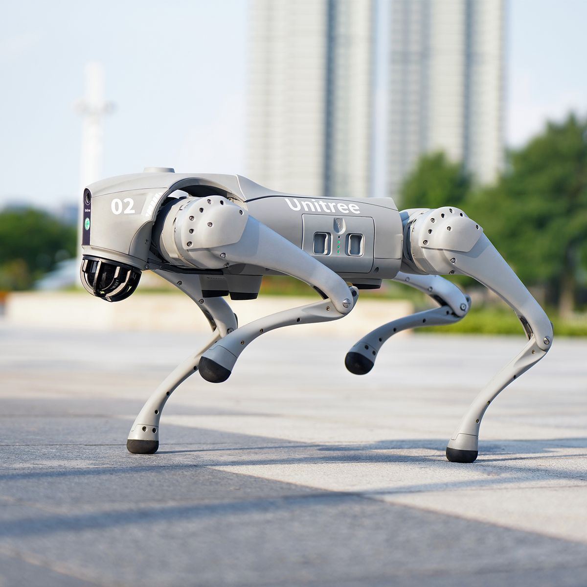 Unitree Go2 Roboterhund als Begleiter